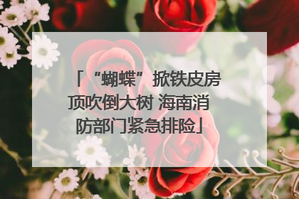 “蝴蝶”掀铁皮房顶吹倒大树 海南消防部门紧急排险