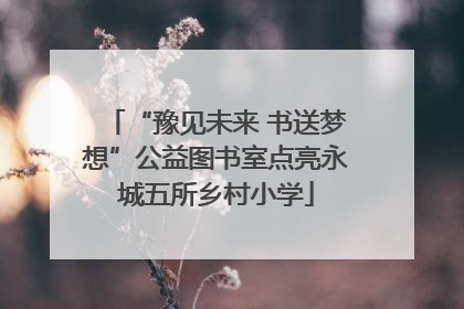 “豫见未来 书送梦想”公益图书室点亮永城五所乡村小学