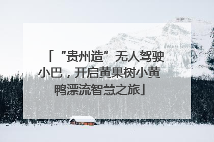“贵州造”无人驾驶小巴，开启黄果树小黄鸭漂流智慧之旅