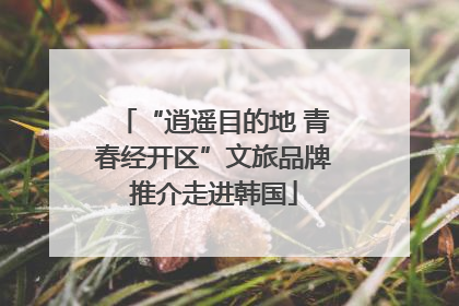 “逍遥目的地 青春经开区”文旅品牌推介走进韩国