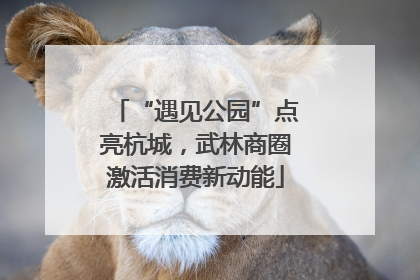 “遇见公园”点亮杭城，武林商圈激活消费新动能