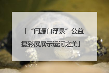 “问源白浮泉”公益摄影展展示运河之美