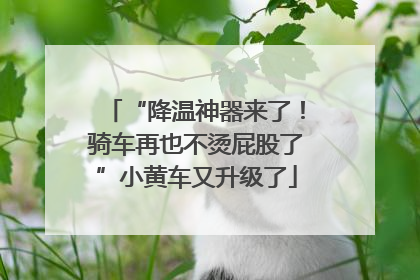 “降温神器来了！骑车再也不烫屁股了”小黄车又升级了