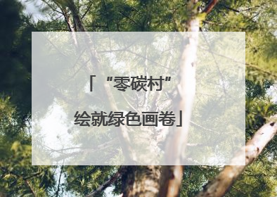 “零碳村” 绘就绿色画卷