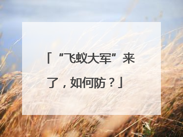 “飞蚁大军”来了，如何防？