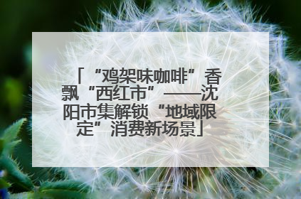 “鸡架味咖啡”香飘“西红市”——沈阳市集解锁“地域限定”消费新场景