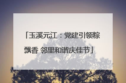 玉溪元江：党建引领粽飘香 邻里和谐庆佳节