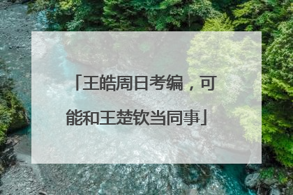 王皓周日考编，可能和王楚钦当同事