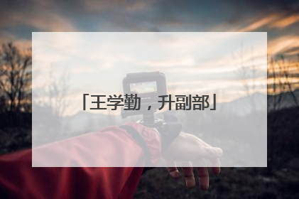 王学勤，升副部