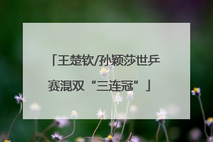 王楚钦/孙颖莎世乒赛混双“三连冠”