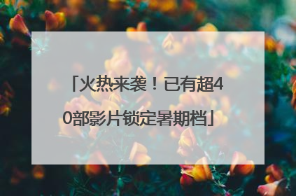 火热来袭！已有超40部影片锁定暑期档