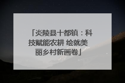 炎陵县十都镇：科技赋能农耕 绘就美丽乡村新画卷