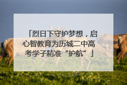 烈日下守护梦想，启心智教育为历城二中高考学子精准“护航”