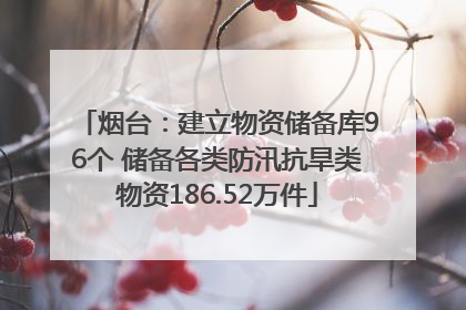 烟台：建立物资储备库96个 储备各类防汛抗旱类物资186.52万件