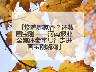烧鸡哪家香？还数画宝刚——河南报业全媒体老字号行走进画宝刚烧鸡