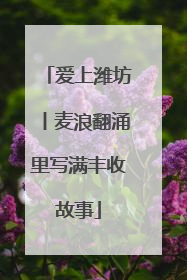 爱上潍坊丨麦浪翻涌里写满丰收故事