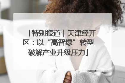 特别报道｜天津经开区：以“高智绿”转型破解产业升级压力