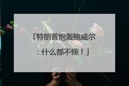 特朗普炮轰鲍威尔：什么都不懂！