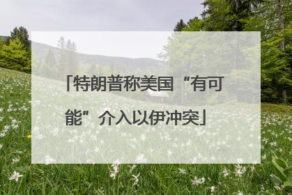 特朗普称美国“有可能”介入以伊冲突