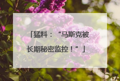 猛料：“马斯克被长期秘密监控！”