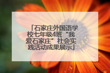 石家庄外国语学校七年级4班“我爱石家庄”社会实践活动成果展示