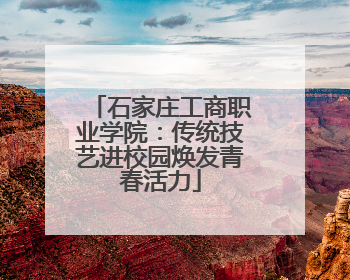 石家庄工商职业学院：传统技艺进校园焕发青春活力