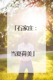 石家庄：当夏荷美