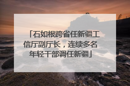 石如根跨省任新疆工信厅副厅长，连续多名年轻干部调任新疆