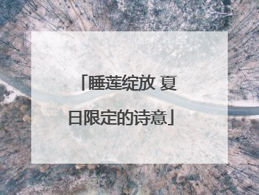睡莲绽放 夏日限定的诗意