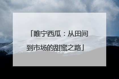 睢宁西瓜：从田间到市场的甜蜜之路