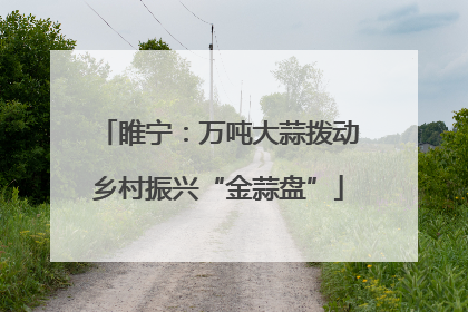 睢宁：万吨大蒜拨动乡村振兴“金蒜盘”