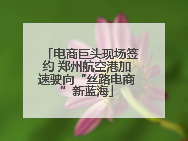 电商巨头现场签约 郑州航空港加速驶向“丝路电商”新蓝海