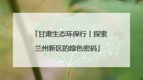 甘肃生态环保行丨探索兰州新区的绿色密码