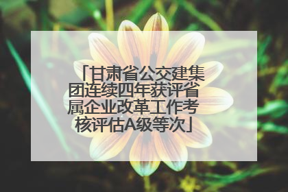 甘肃省公交建集团连续四年获评省属企业改革工作考核评估A级等次