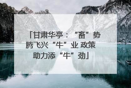 甘肃华亭：“畜”势腾飞兴“牛”业 政策助力添“牛”劲