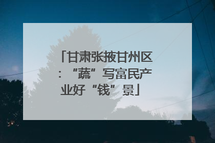 甘肃张掖甘州区：“蔬”写富民产业好“钱”景