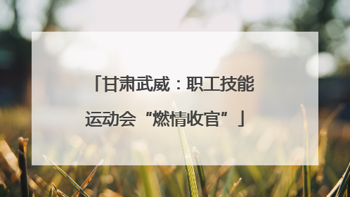 甘肃武威：职工技能运动会“燃情收官”