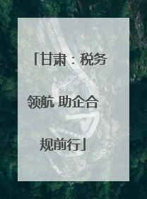 甘肃：税务领航 助企合规前行