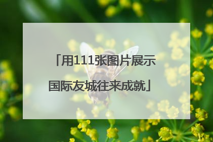 用111张图片展示国际友城往来成就