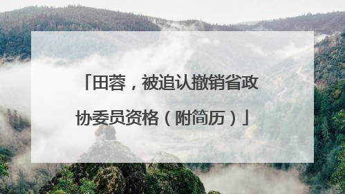 田蓉，被追认撤销省政协委员资格（附简历）