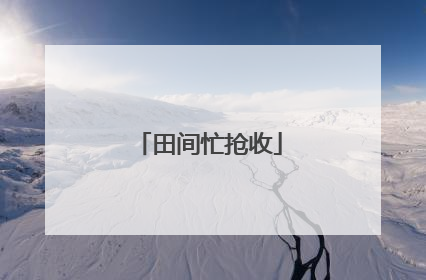 田间忙抢收