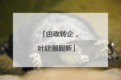 由政转企，叶建强履新