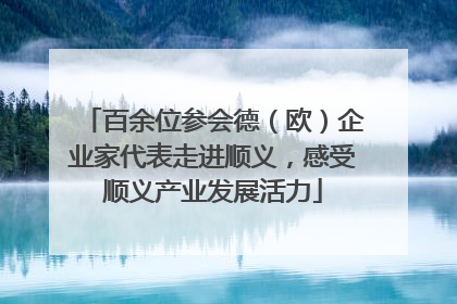 百余位参会德（欧）企业家代表走进顺义，感受顺义产业发展活力