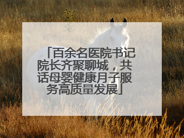 百余名医院书记院长齐聚聊城，共话母婴健康月子服务高质量发展