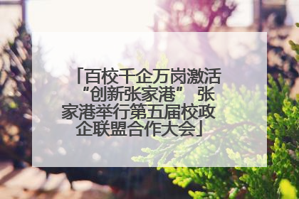 百校千企万岗激活“创新张家港” 张家港举行第五届校政企联盟合作大会