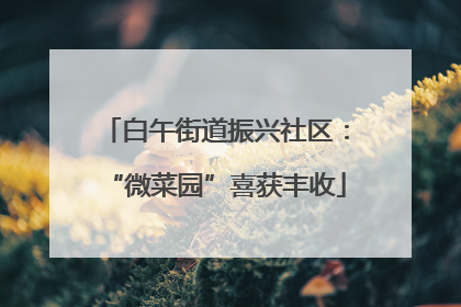 白午街道振兴社区：“微菜园”喜获丰收