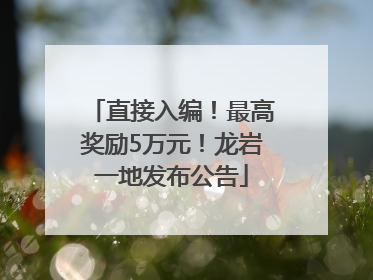 直接入编！最高奖励5万元！龙岩一地发布公告