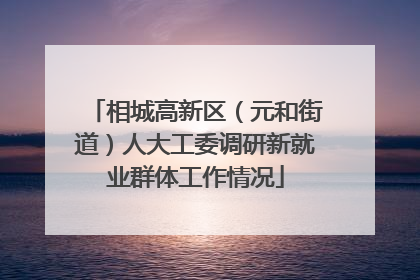 相城高新区（元和街道）人大工委调研新就业群体工作情况