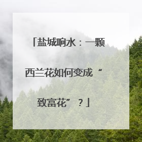 盐城响水：一颗西兰花如何变成“致富花”？