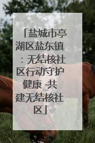盐城市亭湖区盐东镇：无结核社区行动守护健康 ·共建无结核社区
